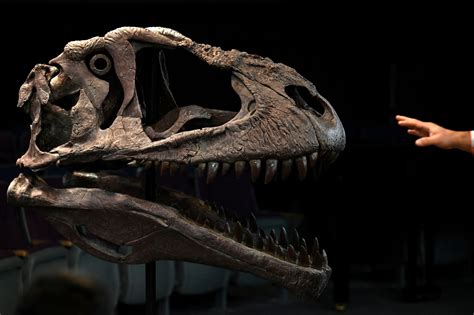 A New Dinosaur Discovered In Argentina Archyworldys