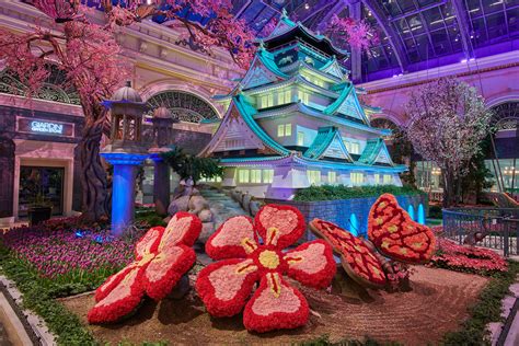 We did not find results for: Bellagio's Conservatory & Botanical Gardens Celebrates ...