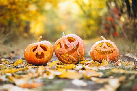 Top 10 Halloween Events Near Basildon | 2024 Spooky Fun