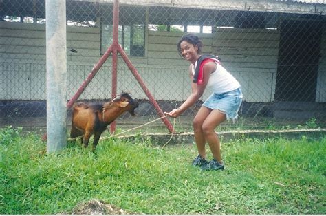 A man in china whose wife killed herself and their two children after he allegedly faked his own death for an insurance payout has given himself up to police. foto: "I LIKE CURRY GOAT BUT I CAN'T KILL CURRY GOAT ...