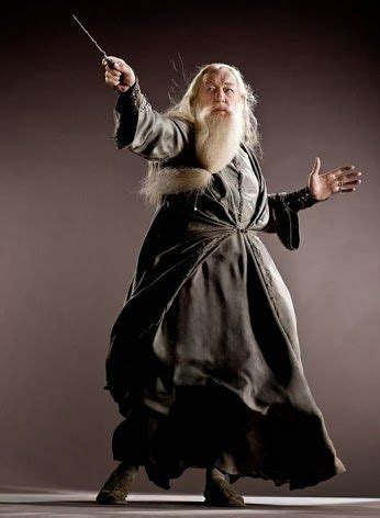 Dumbledore S Got Style Alvo Dumbledore Produtos Do Harry Potter
