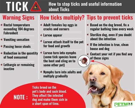 Tick Bite On Dogs Tick Fever Symptoms And Treatments Petmoo