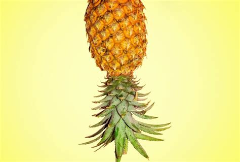 Pineapple Swingers Whats With The Upsidedown Fruit Symbol