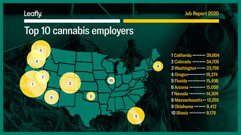 2020 Cannabis Jobs Report: Legal cannabis now supports 243,700 full