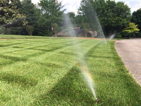 Homemade Lawn Irrigation System Diy Bottle Sprinkler System
