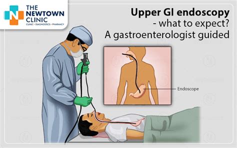 Upper Gi Endoscopy What To Expect A Gastroenterologist Guided
