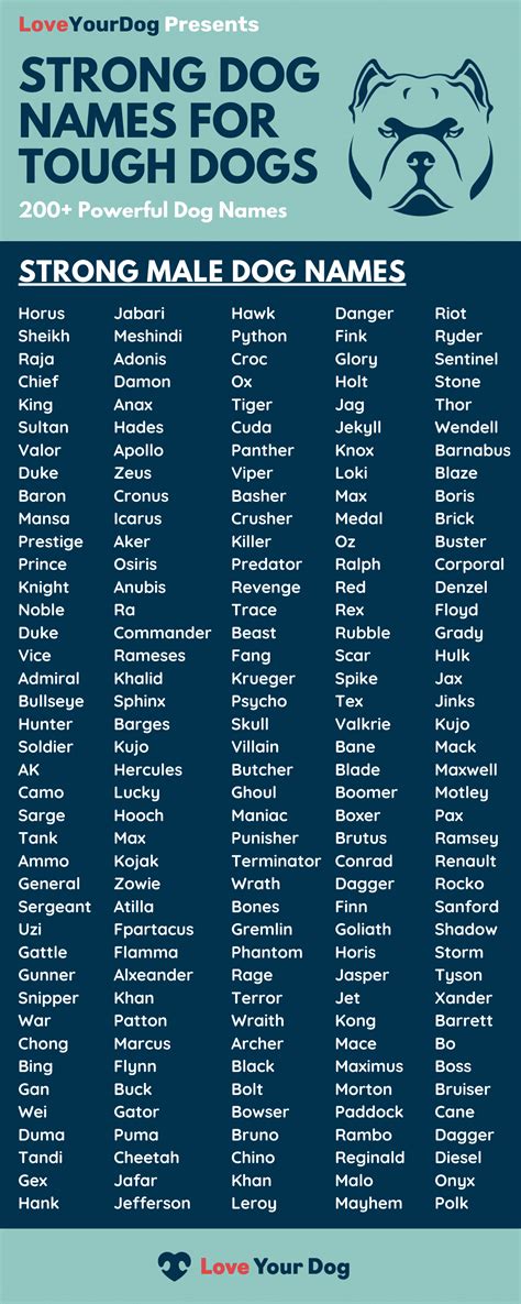 Tough Dog Names 200 Strong And Powerful Names For Male Dogs Tough Dog