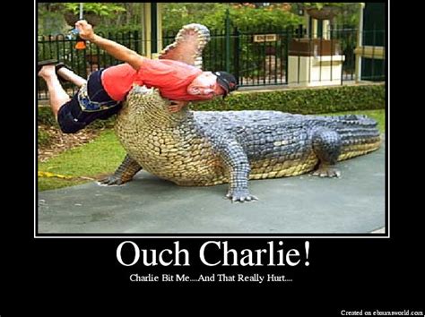 Charlie bit me remix auto tune. Image - 4184 | Charlie Bit My Finger | Know Your Meme