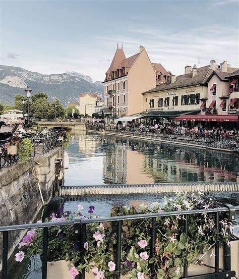 Il n'est ni question d'hygiène, ni de. Annecy Traitement Punaise de Lit Chaleur - Cynotherm