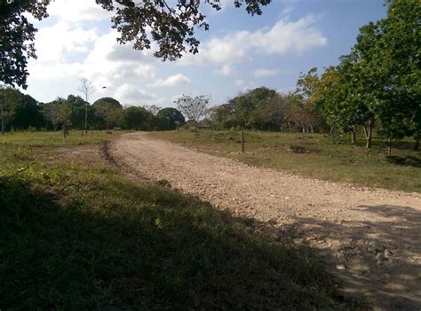 The most widely used acres are the international acre and the survey acre. Affordable and Titled 1 Hectare (2.47 Acres) Parcels on or ...