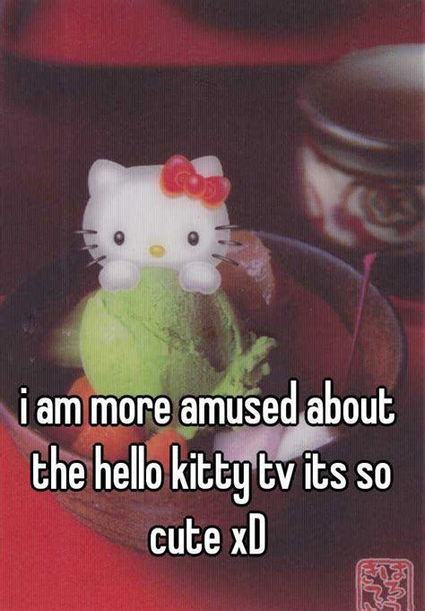 I Am More Amused About The Hello Kitty Tv Its So Cute Xd