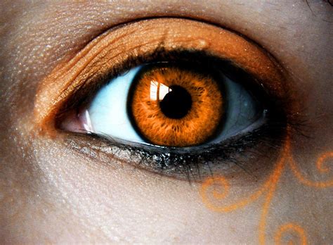 Orange Love By Tegaria On Deviantart Eye Color Chart Aesthetic Eyes