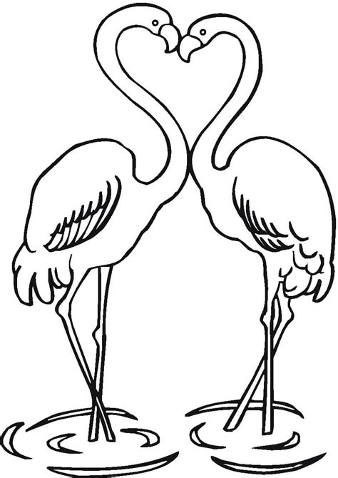 Casal Flamingos Para Colorir Imprimir E Desenhar Colorir Me My Xxx