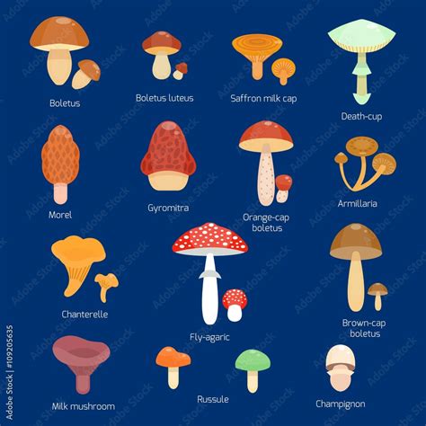 Vettoriale Stock Mushrooms Set Vector Illustration Of Different Types