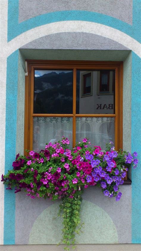 Look through flower box pictures in different colors and styles and when you find some flower box that inspires you, save it to an ideabook or contact the pro who made them happen to see what kind of design ideas they have for your home. 30+ Awesome Flowering Window Boxes Ideas | Window box ...