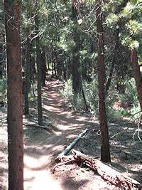 Latest nhl carolina hurricanes news on petr mrazek. Mrazek Mountain Biking and Hiking Trail