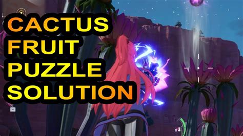 Cactus Fruit Puzzle Solution Vera Tower Of Fantasy Youtube