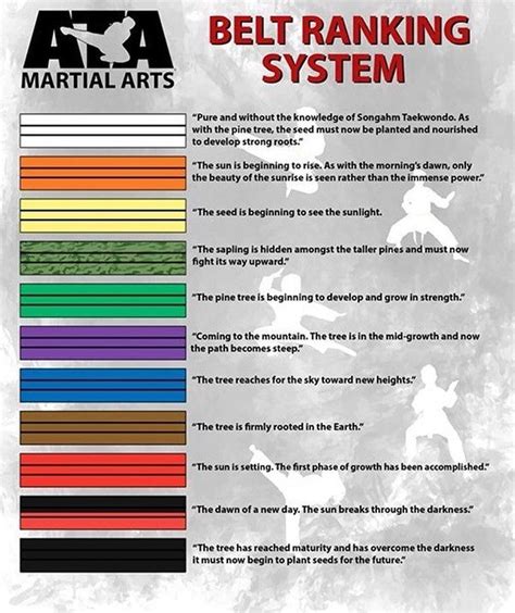 What Are All The Karate Belts In Order Histrq