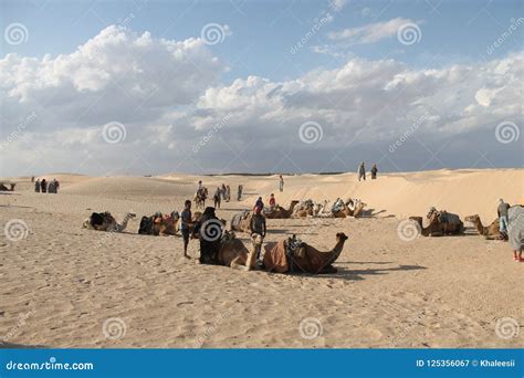 Sahara Desert Tunisia Ghlissia Kebili Editorial Photography Image Of