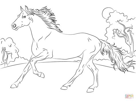 Horse Coloring Pages