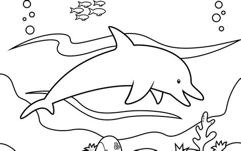 El Delfin Y La Delfina Dibujos Para Colorear Reverasite