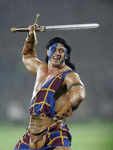 Schotse hooglanders highland cow schottische hochlandrind. Highlanders to perform challenge against Lions | Otago ...