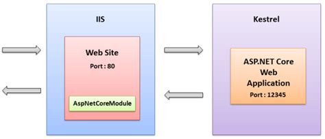 How To Host Or Deploy Asp Net Core Web Application On Iis Infologs Images