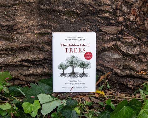 The Hidden Life Of Trees Adult Book Voice For The Trees