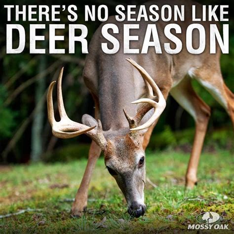 Deer Hunter Quotes Quotesgram