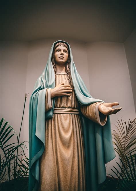 Aug 01, 2012 · mother is the name for god in the lips and hearts of little children. Mary Mother Of God Pictures | Download Free Images on Unsplash