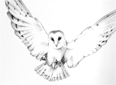 Original Charcoal Flying Barn Owl Drawing Owl Art Barn Owl Sketch