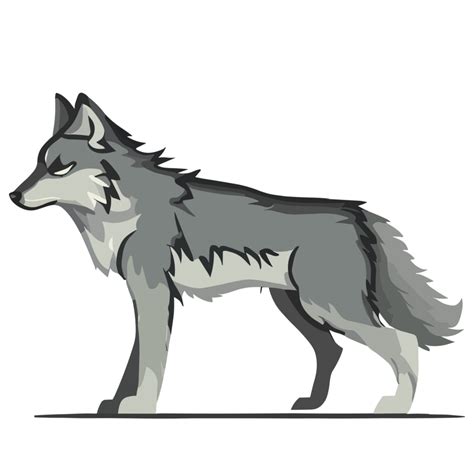 White Wolf Clipart Transparent Background 24029753 Png