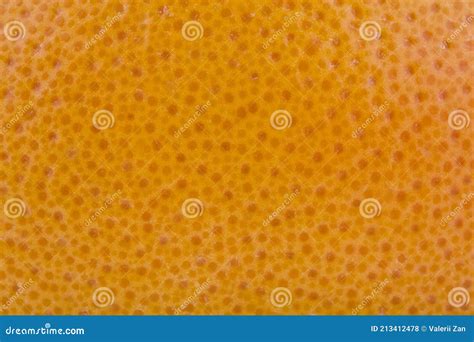 Orange Skin Texture Of Orange As Background Stock Photo Image Of