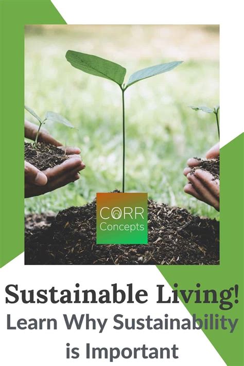 Why Sustainability Is Important For Your Lifestyle Corr Concepts