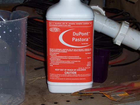 While sandspurs are annoying weed that can really stick to you, they can be gotten rid of easily. My Stuff: Bulls, Horses, and Nettles