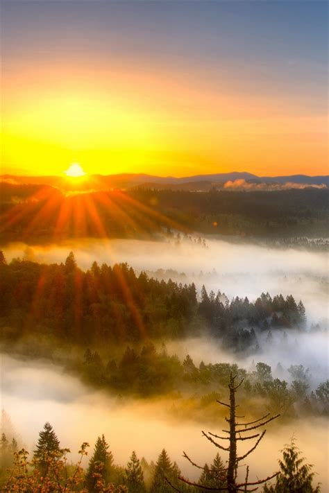 Morning Mist Mountains Sunrise Iphone X 876543gs Wallpaper