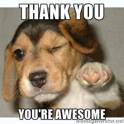 Thank you pictures to share. thank you cute puppy meme | EntertainmentMesh