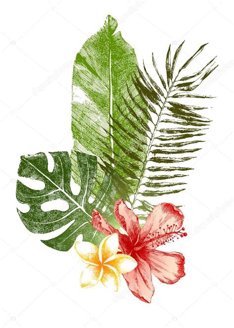 Hand Drawn Tropical Leaves And Flowers — Stock Vector © Martm 60052371