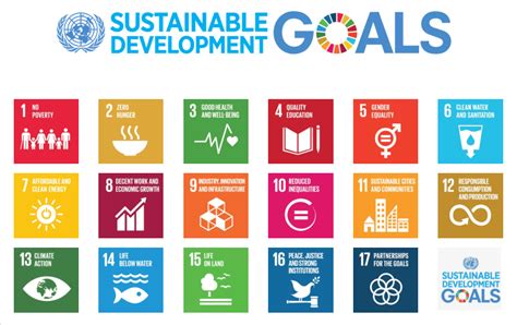 Un Sdgs How These 17 Goals Will Transform Our World And Your Business