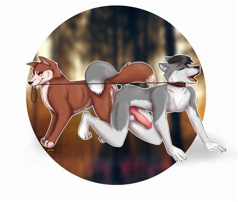 Rule 34 All Fours Anthro Anthro On Feral Balls Canine Feral Kaviki