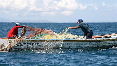 Sagarpa Regula Pesca De Atún