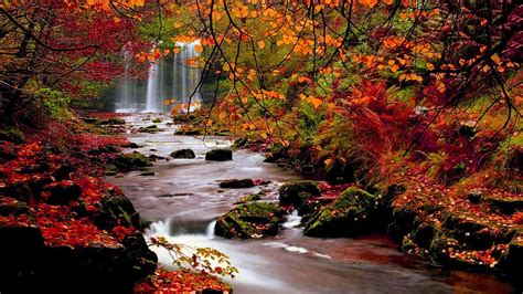 Autumn Leaves And Landscapes Wallpapers Wallpaper Cave