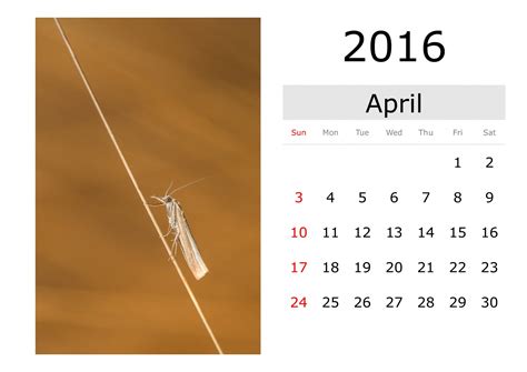 Calendar April 2016 English Free Stock Photo Public Domain Pictures