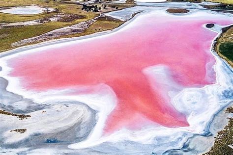 The Pink Lakes Of Australia Why Theyre Pink And Where To Find Them