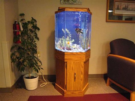 30 Gallon Hexagon Aquarium Hood Fish Tank Stand Hexagon Fish Tank