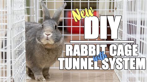 New Diy Rabbit Cage With Tunnel System Youtube