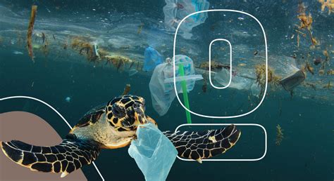 What Happens To Plastic In The Ocean Environment Co