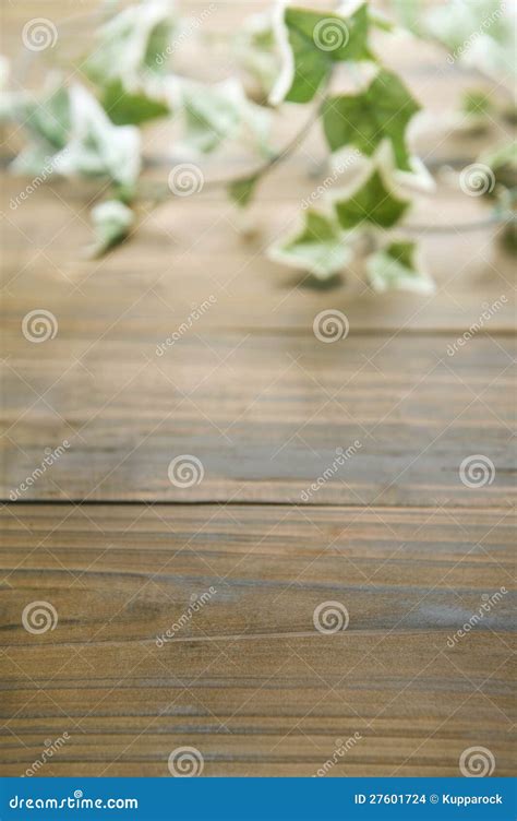 Ivy On Wood Table Stock Photo Image Of Carpentry Bright 27601724