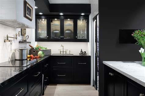 Black Cabinet Kitchen Designs Kitchen Cabinet Ideas