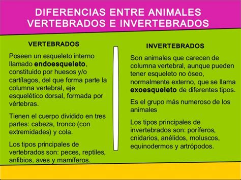 Cuadros Sinópticos Y Comparativos Sobre Animales Vertebrados E